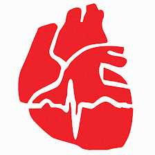 Premier Heart and Vascular Center