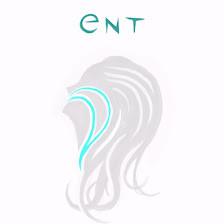 ENT Associates PA
