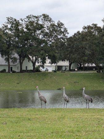 Windermere Villas