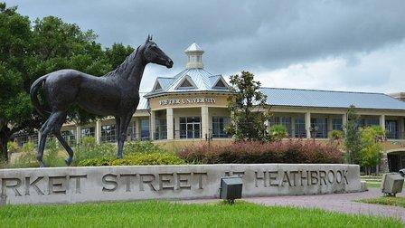 Webster University