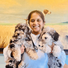 Animal Medical Clinic Lakeland