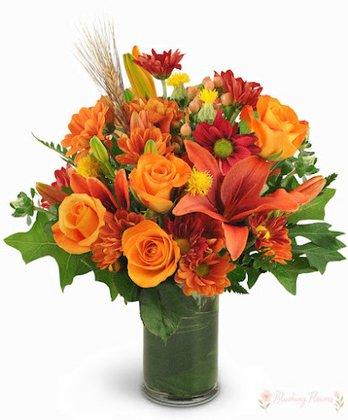 Blushing Flowers