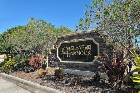Oakleaf Hammock