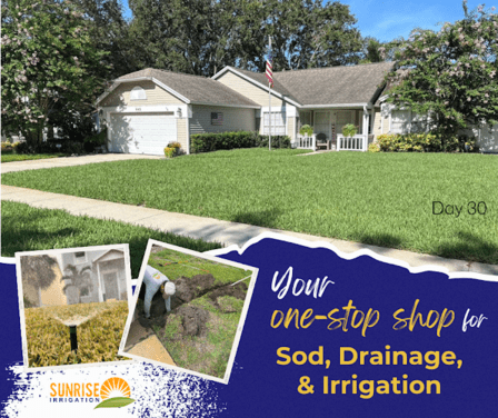 Sunrise Irrigation
