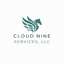 Cloud 9 Accounting