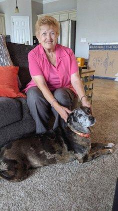 Pet Tenders Pet Sitting Service, Inc.