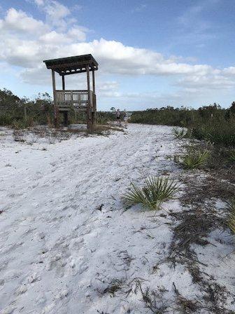Lake Wales Ridge Wildlife and Environmental Area - Mountain Lake Cutoff