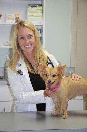 Island Animal Clinic