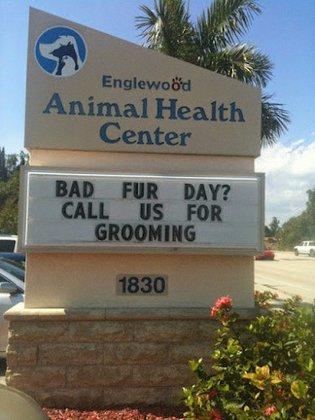 Englewood Animal Health Center