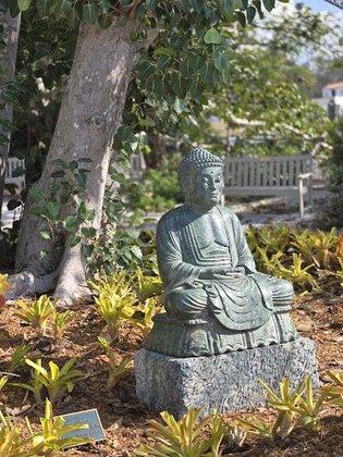 Selby Botanical Gardens