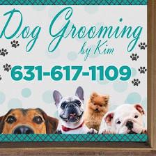 Dog grooming by Kim