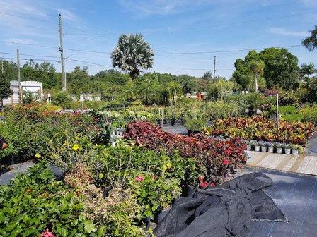 Landmark Nursery