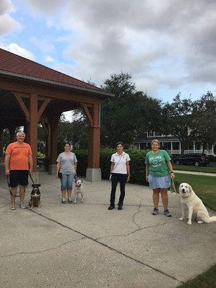 Celebration Dog Training
