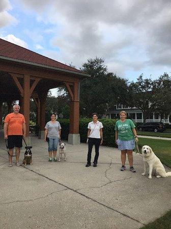 Celebration Dog Training