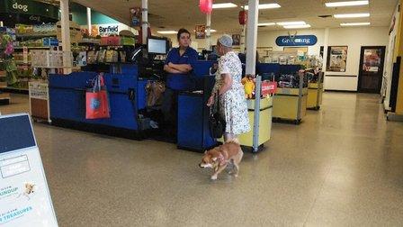 PetSmart