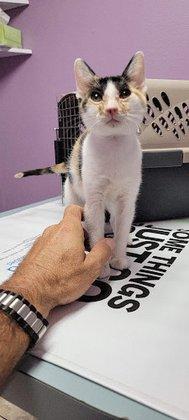 River Region Animal Hospital