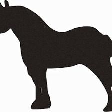 Collins Cattle and Grove
