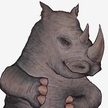 Rhino Power