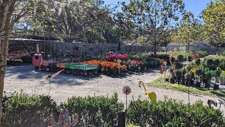 K & K Nursery