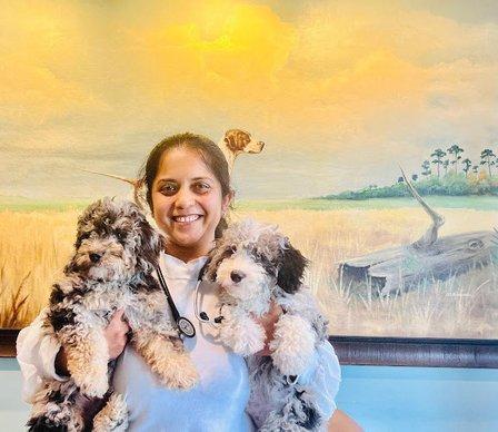 Animal Medical Clinic Lakeland