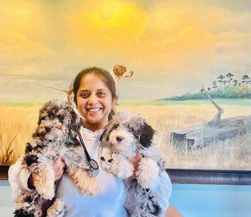 Animal Medical Clinic Lakeland