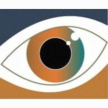 Venice Retina