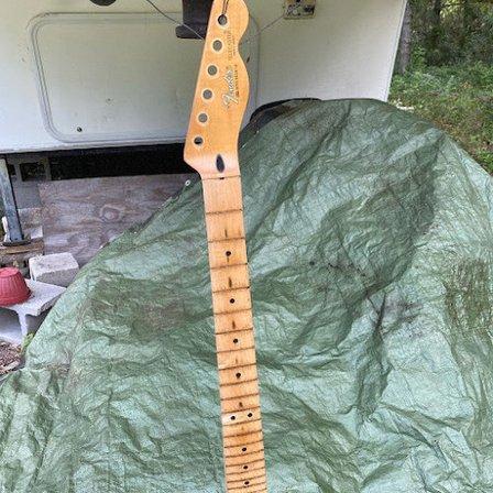 RavenWolf Guitars