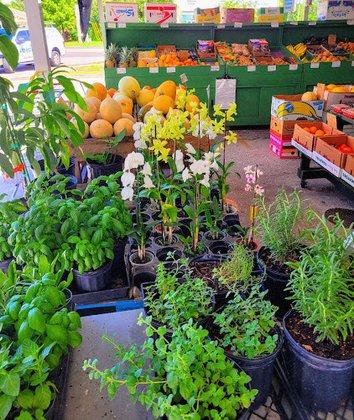 Steve's Produce