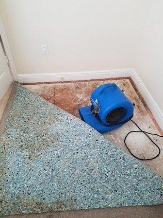 Logan Carpet Cleaning