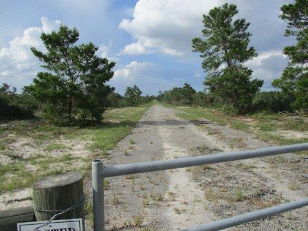 Lake Wales Ridge Wildlife and Environmental Area - Sunray