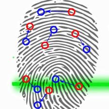 Sarasota Live Scan Fingerprinting