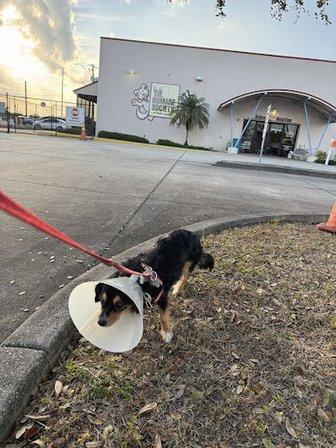 Humane Society of Polk County