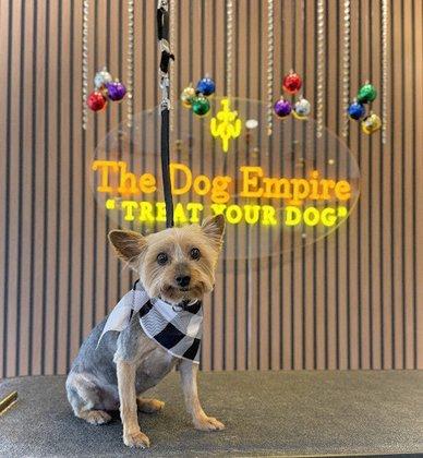 The Dog Empire