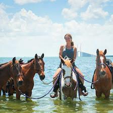 Gulf Coast Ponies
