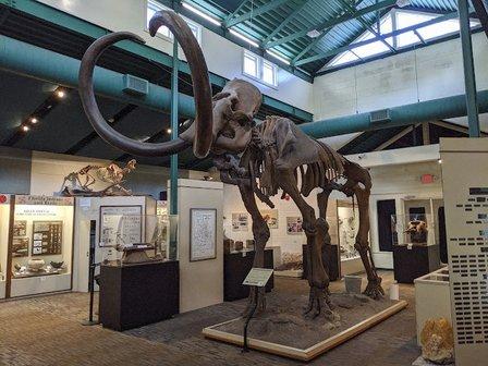 Silver River Museum & Environmental Education Center