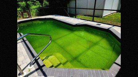 Jay's Pool Service