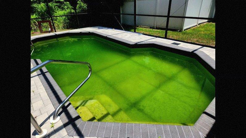 Jay's Pool Service