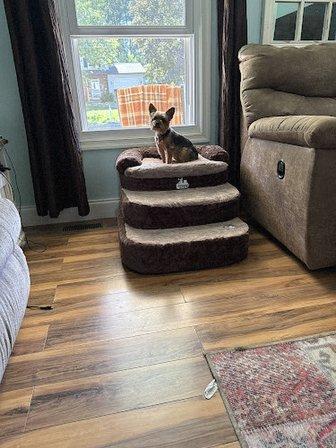 Steppy Bed
