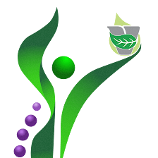 Vietrulife Medical Spa