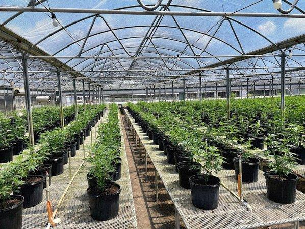 Green Point Research Nursery