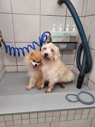 Bayshore Animal Hospital