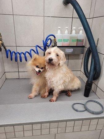 Bayshore Animal Hospital