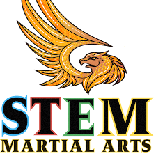 STEM Martial Arts