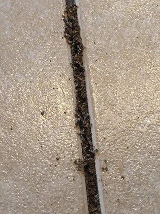 BugWater Pest Control Inc.