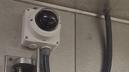 Edwards Professional Alarms & Video, Inc.