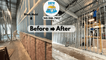 Ampm Restoration Pro