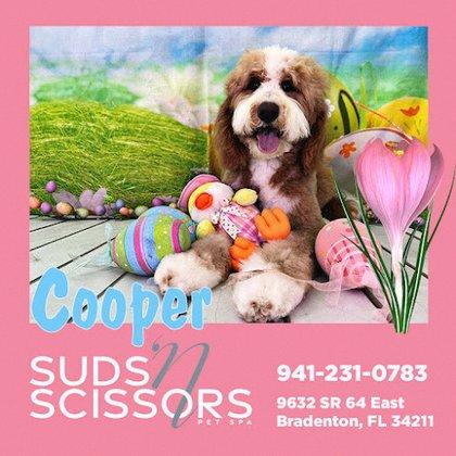 Suds and Scissors LWR