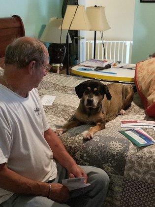 Wag Watchers Dog Boarding & Pet Sitting
