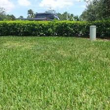 Florida's Green Thumb Lawn & Pest Control