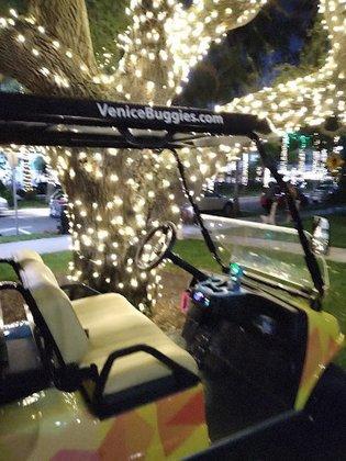 Venice Buggies